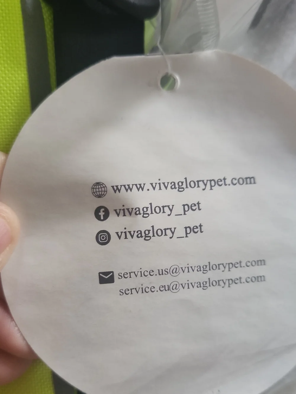 Vivaglory